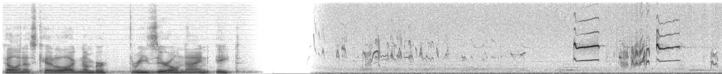 Gambecchio dell'Alaska - ML3098