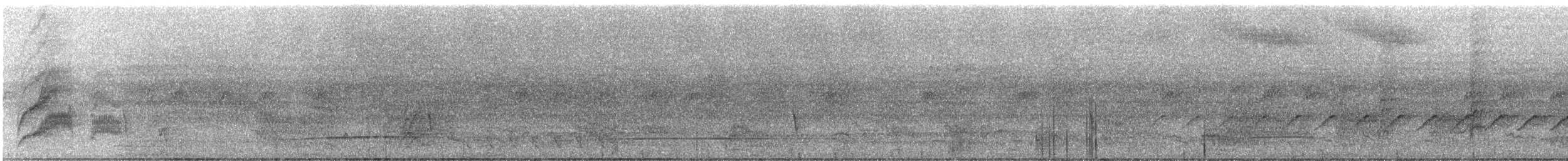 Tyran licteur - ML309802