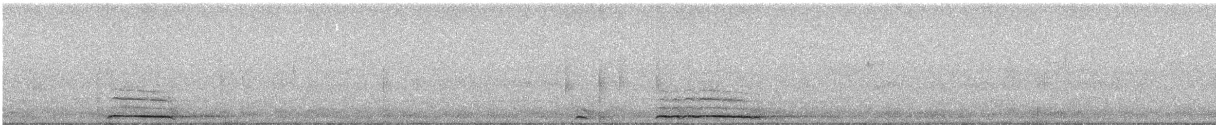 Chouette hulotte - ML309834841