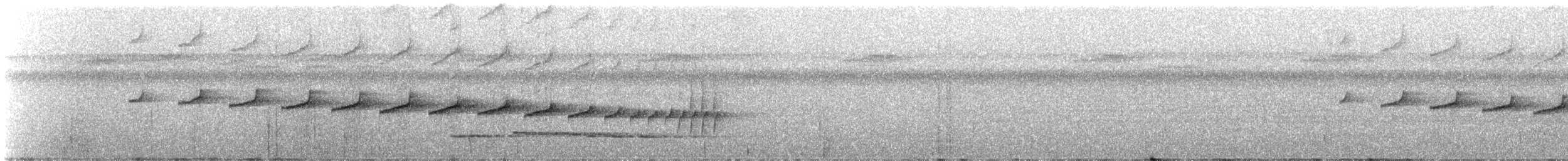 South American Leaftosser - ML309864
