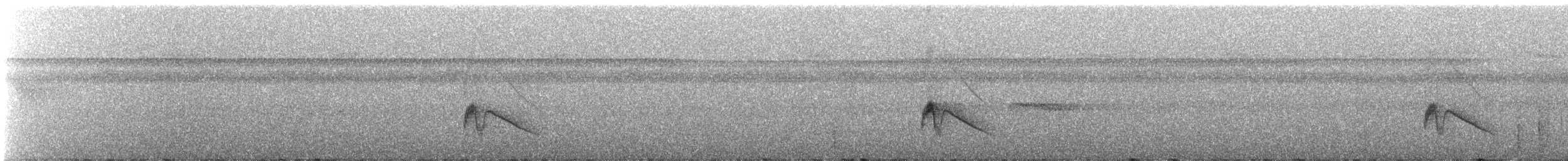 Blackish Pewee - ML309923