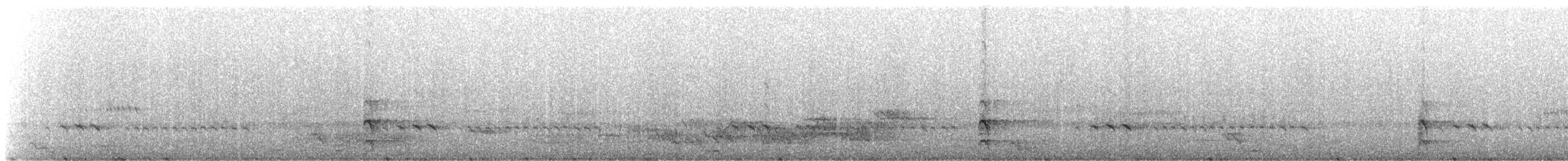 Dominohabicht - ML310018