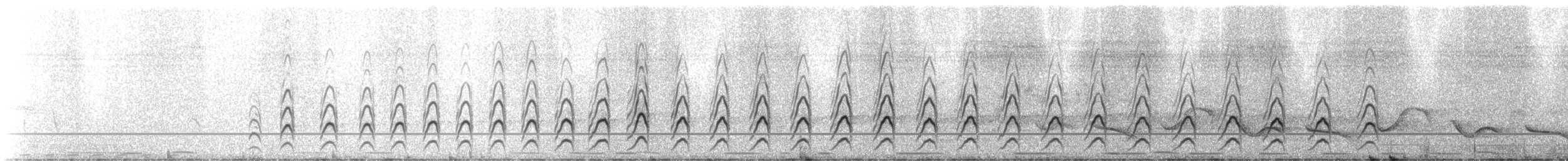 Ovambo Sparrowhawk - ML310020