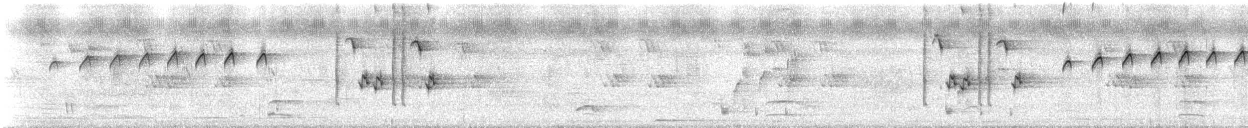 eukalyptushauk - ML310021