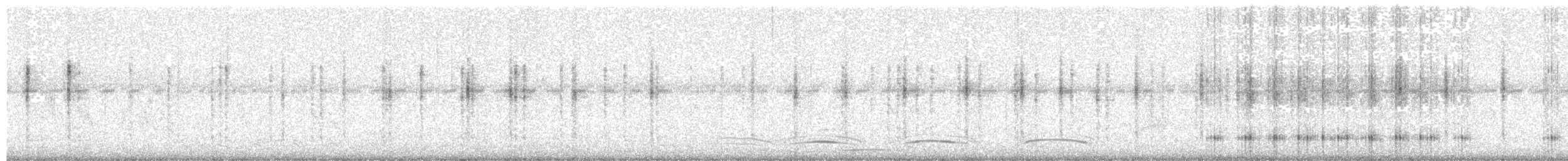 Baikal/Spotted Bush Warbler - ML310056021