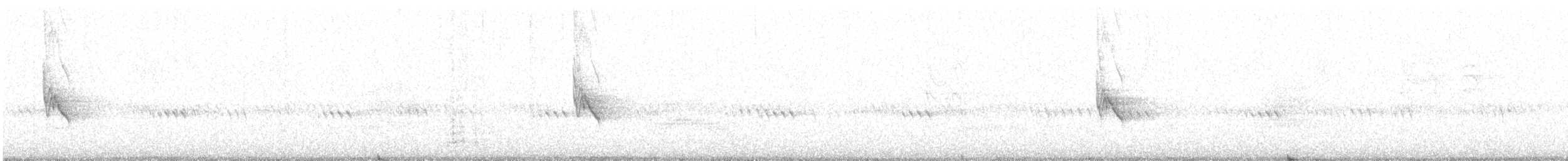 Paruline à ailes blanches - ML31009141