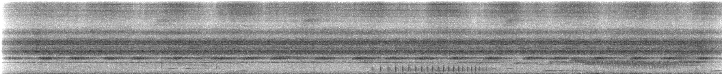 Golden-crowned Woodpecker - ML310095