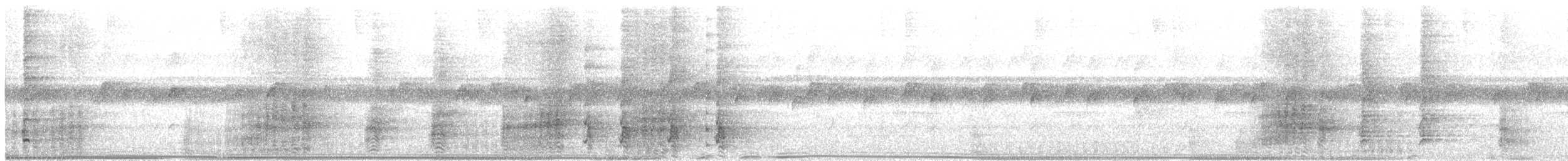 Grünflügel-Trompetervogel (interjecta) - ML310095591
