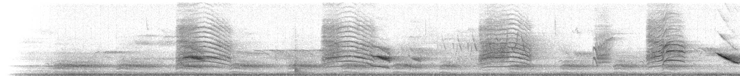 Дрізд-короткодзьоб бурий - ML31010121