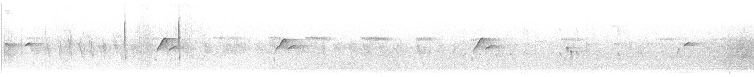 Batı Amerika Sinekkapanı (occidentalis/hellmayri) - ML310106651