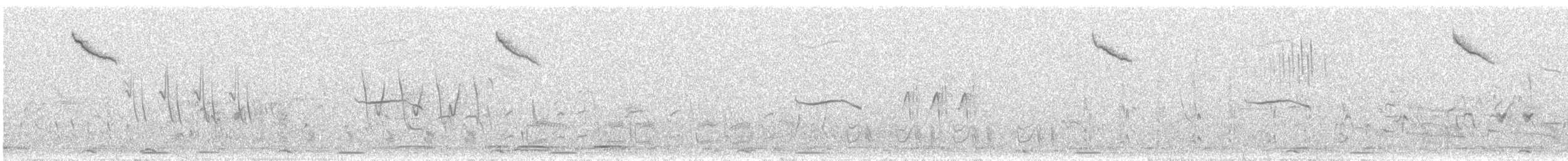 sibirspurv - ML310130031