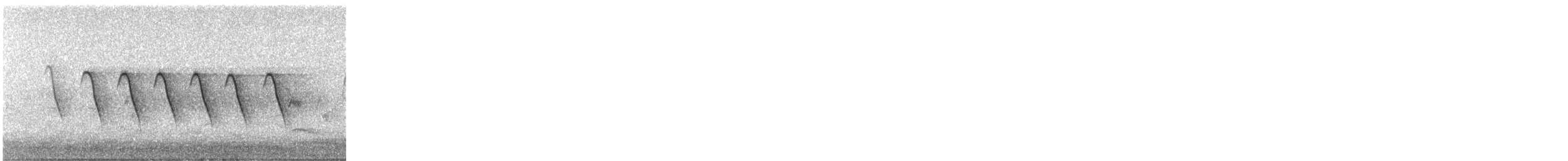 Kaskabeltz txikia - ML310159621