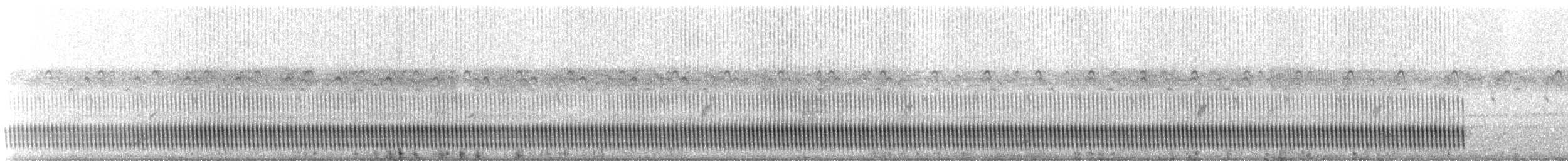 Schleppennachtschwalbe - ML310185