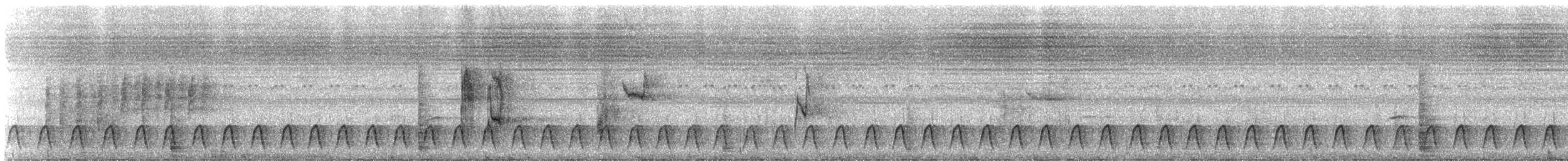 Engoulevent de Reichenow - ML310189
