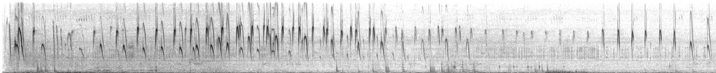 Martinet de Sabine - ML310206