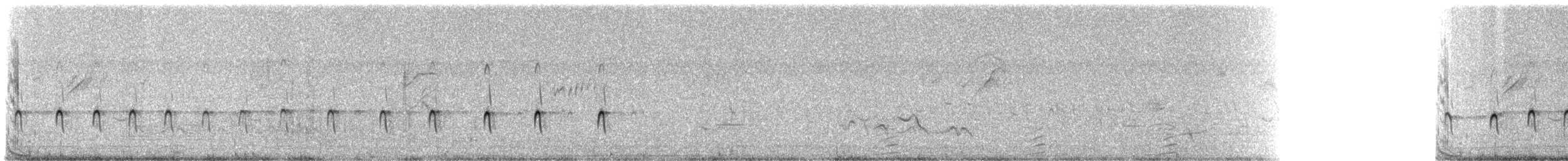 シンジュトビ - ML310218