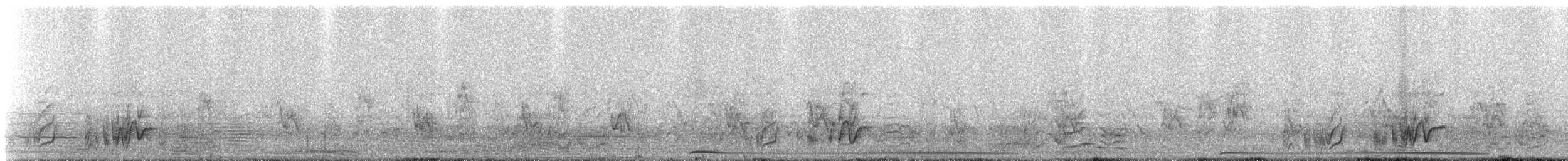 maskedue - ML310261