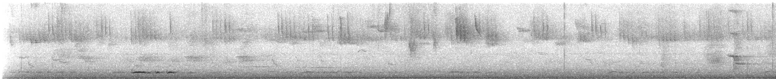 Zebra Dove - ML310268