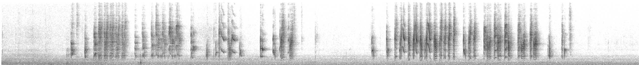 Troglodyte des marais - ML310352401