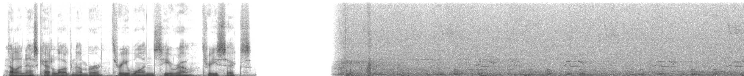 Лінивка-чорнопер білоплеча - ML31036