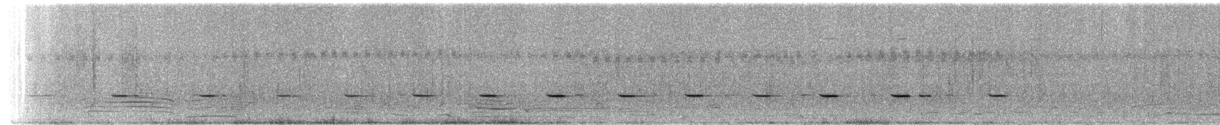 Spotted Nothura - ML310392