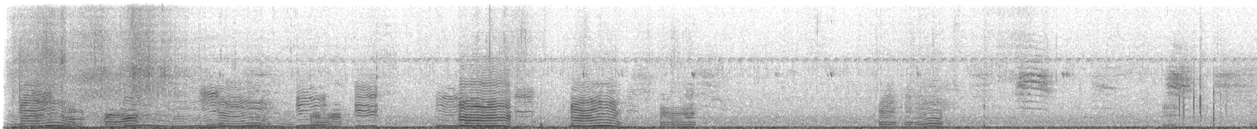 Waved Albatross - ML310397