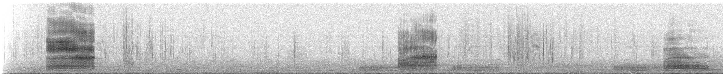 Western Reef-Heron - ML310437