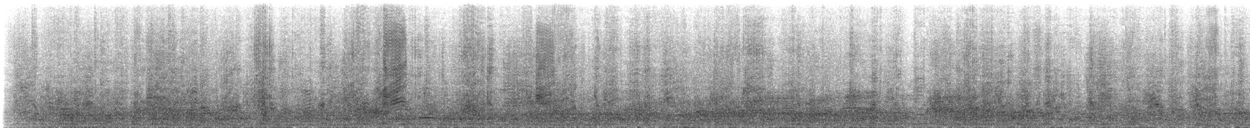 Western Reef-Heron - ML310438