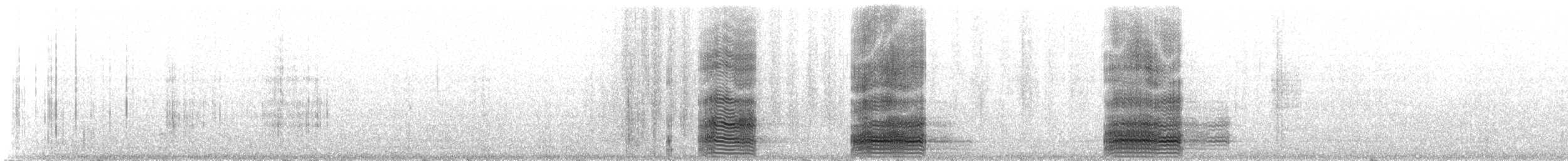 Western Reef-Heron - ML310439