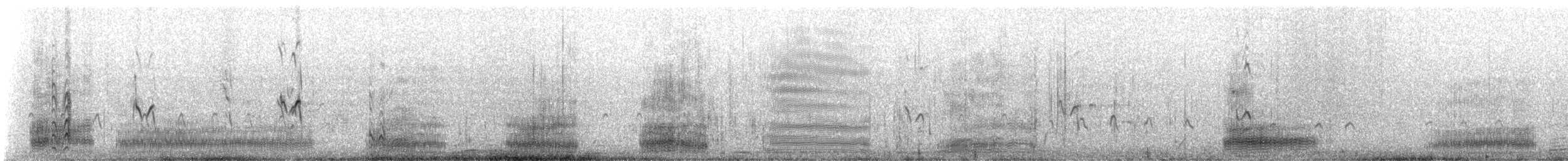 Western Reef-Heron - ML310440