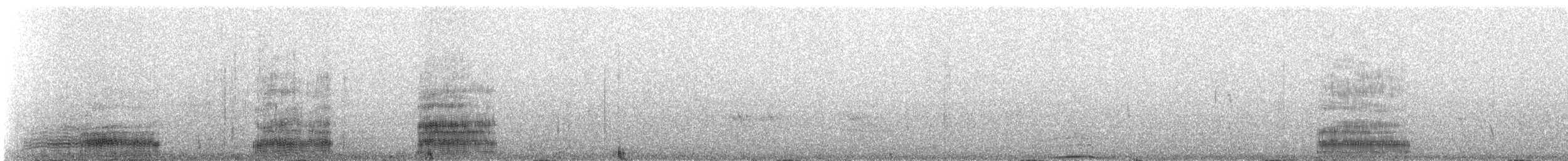 Western Reef-Heron - ML310441