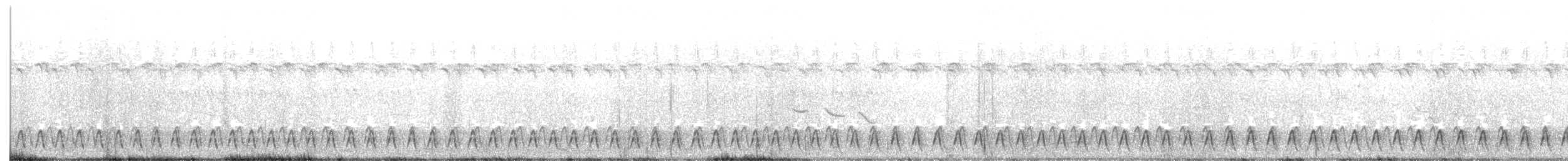 Engoulevent de Reichenow - ML310464961