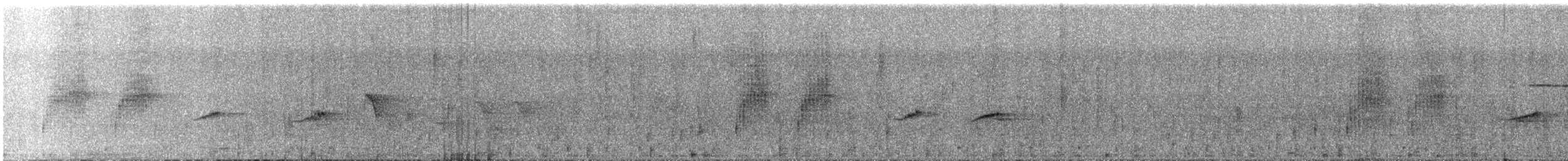 Nilgiri Sholakili - ML310479311