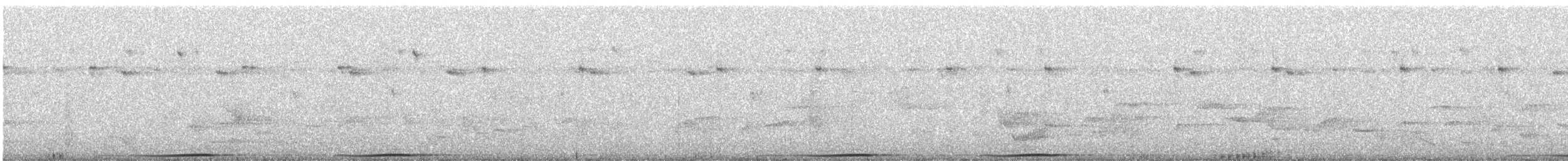 holub černošíjný - ML310530301