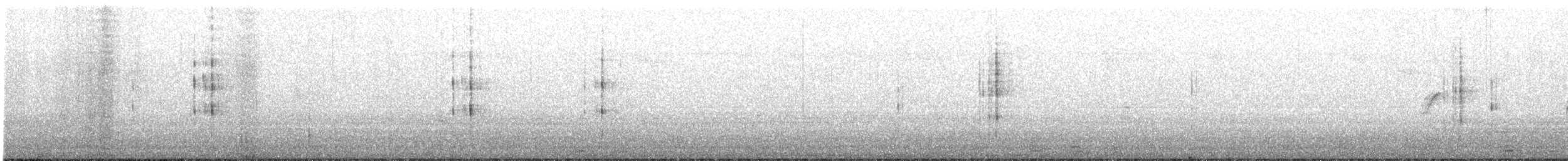 Горихвістка чорна (підвид gibraltariensis/aterrimus) - ML310534471