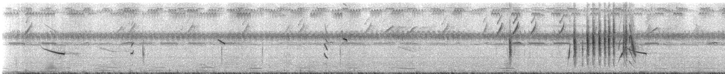 Green-winged Pytilia - ML310588