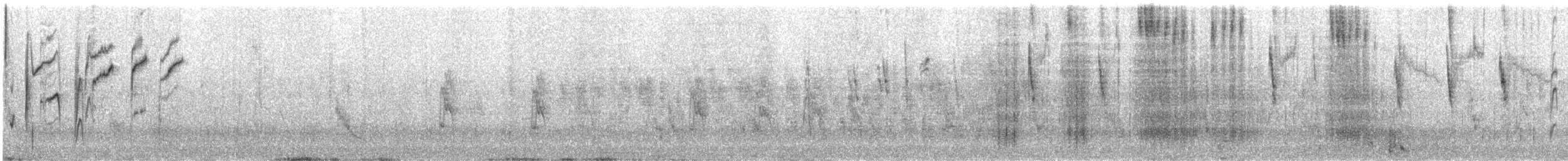 rødnebbamarant - ML310612
