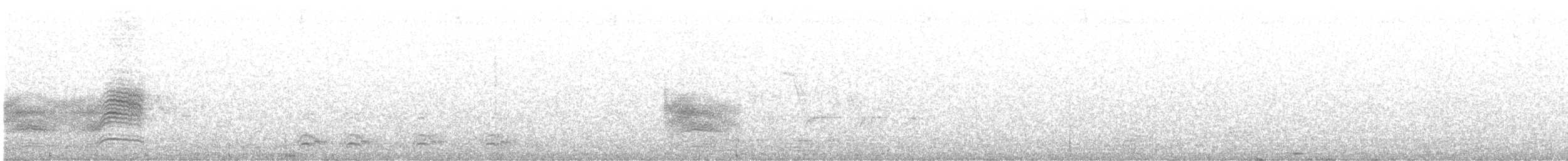 Тауї плямистий - ML310617291