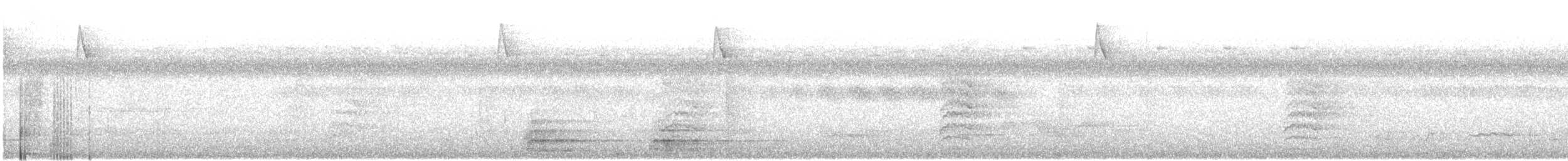 Gelbsteiß-Mistelfresser - ML31062991