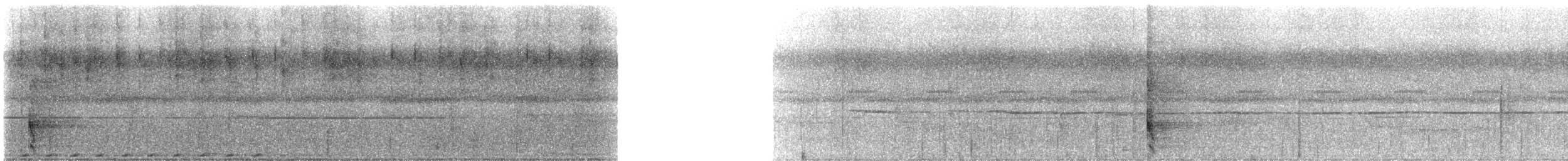 Crinkle-collared Manucode - ML310648