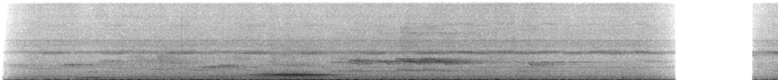 Trumpet Manucode - ML310649