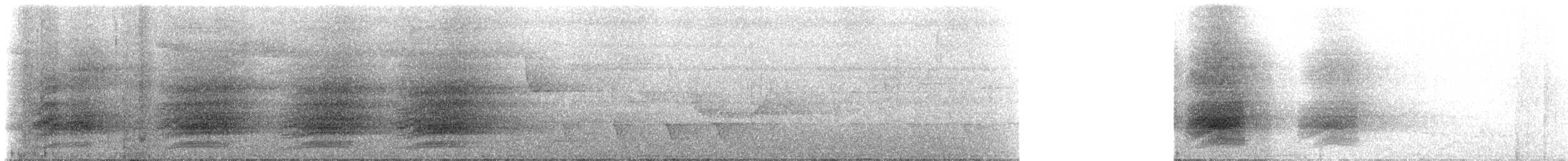 Greater Lophorina - ML310660