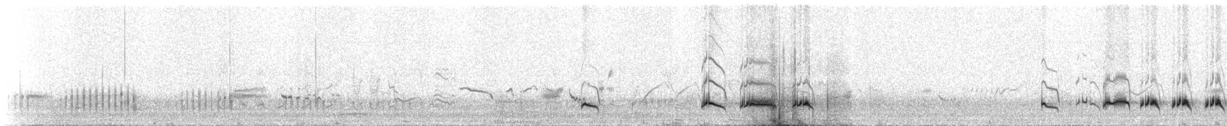Erle-txori papargorria - ML310699
