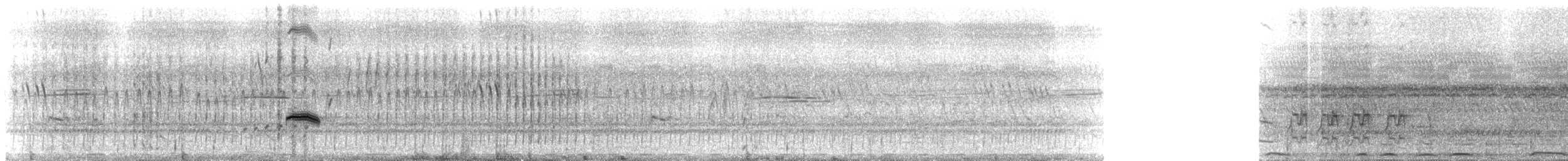 Narrow-tailed Starling - ML310735