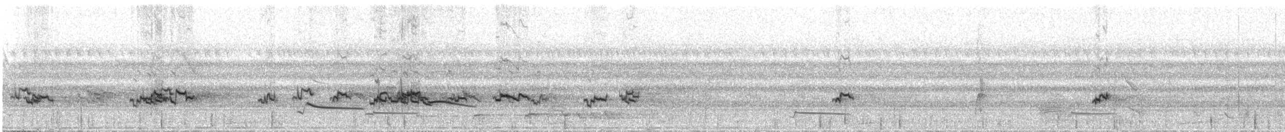 Narrow-tailed Starling - ML310738