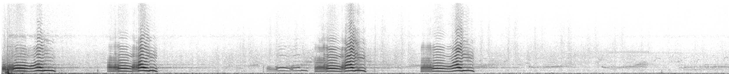 Gray Crowned-Crane - ML310756