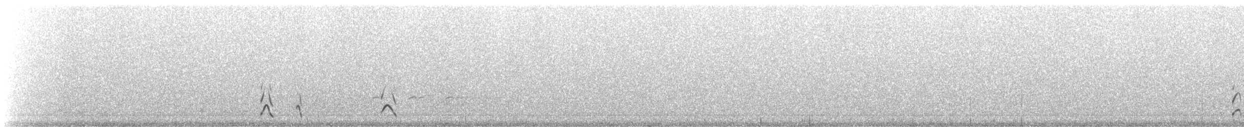 buřňák severní - ML310769