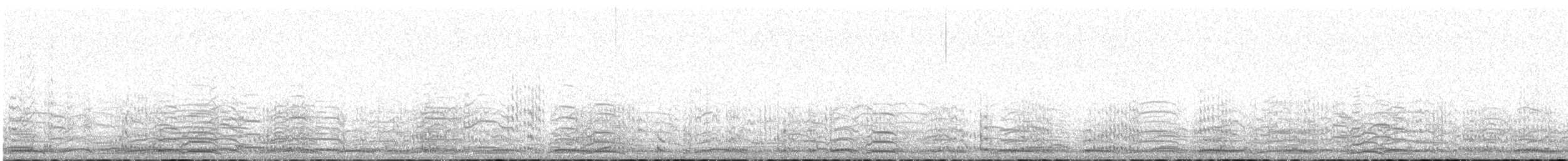 Cygne siffleur (columbianus) - ML310833851