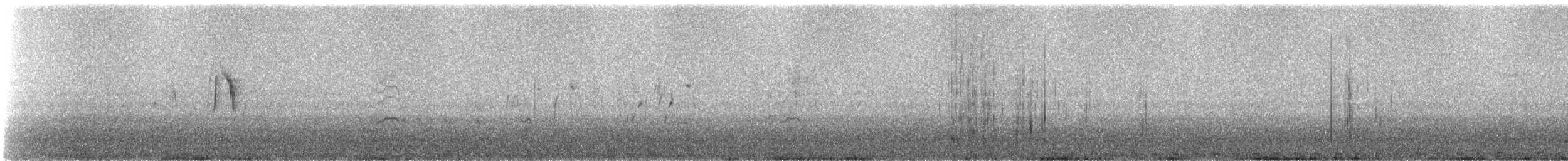 Marbled Duck - ML310873