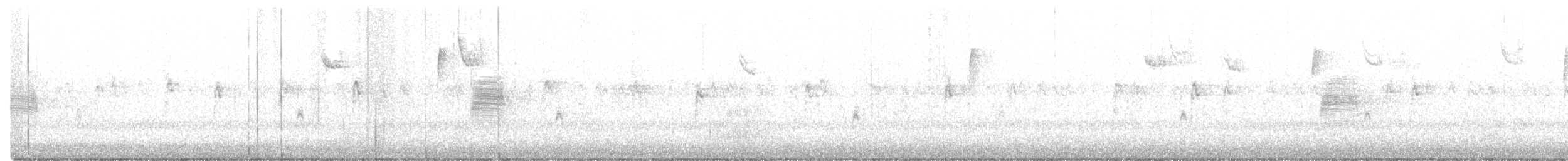 American Woodcock - ML310916501